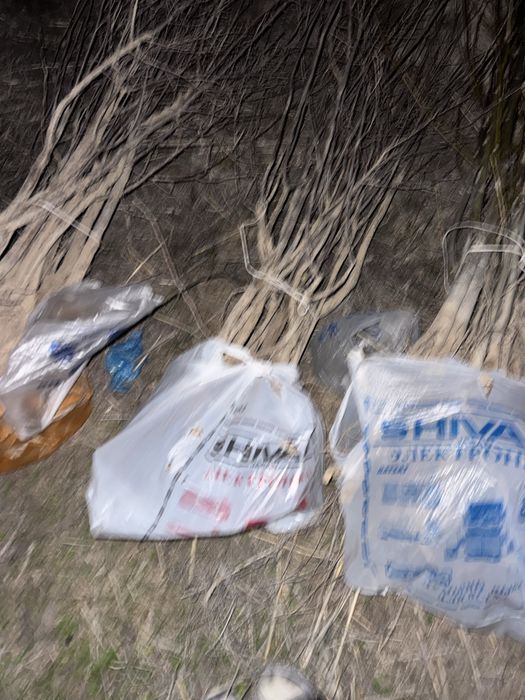 кошеттер бар , жангак , шие , слива