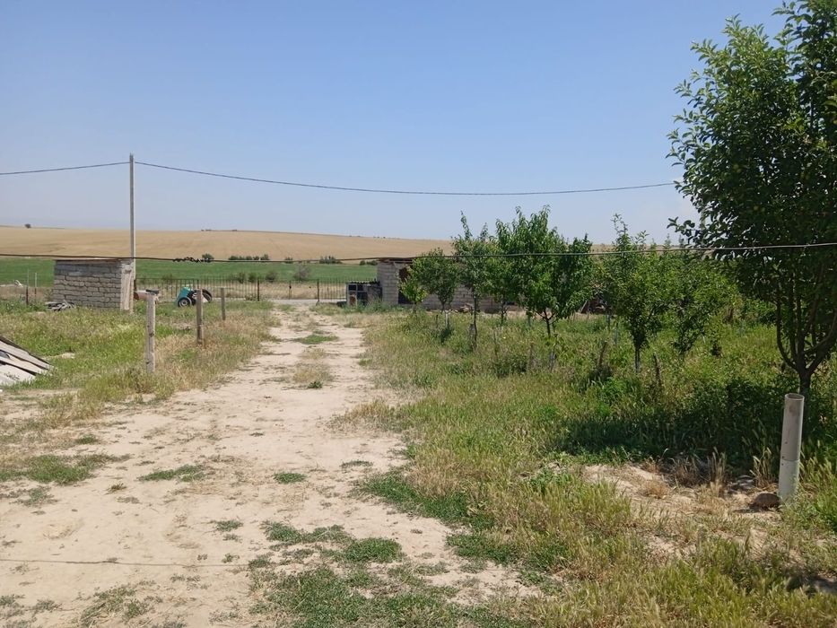 Үй сатылады тез арада ақша керек