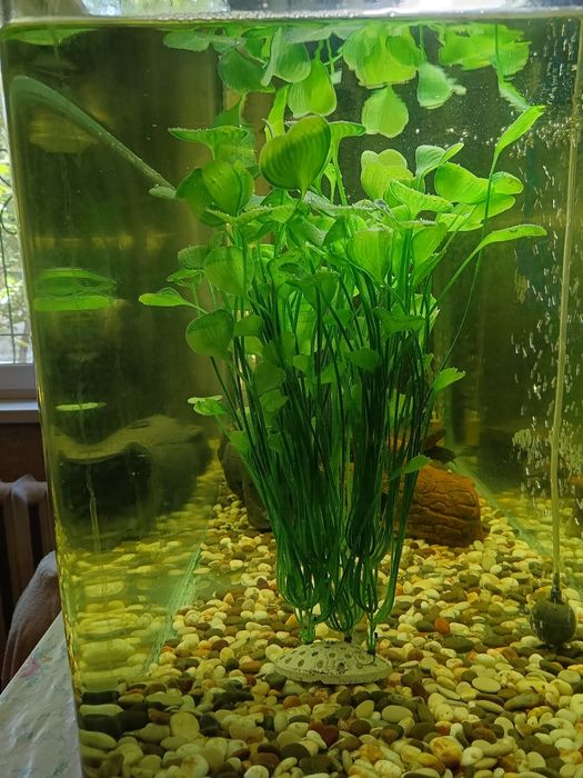 Продам декорацию куст .