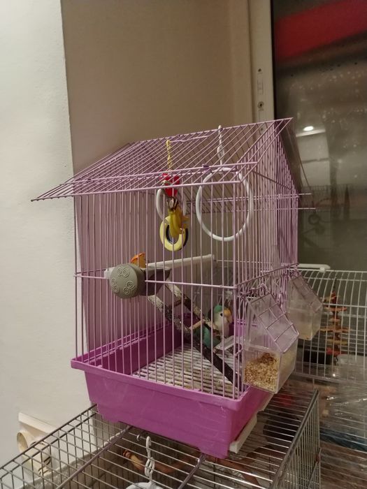 Colivie pentru pasari