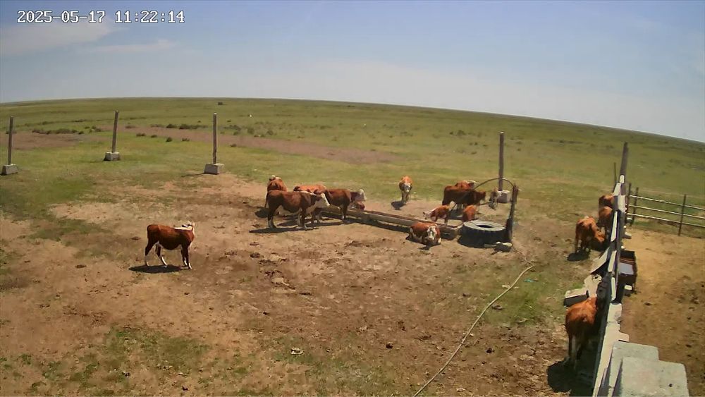 Продам ферму, базу, хозяйство,дом