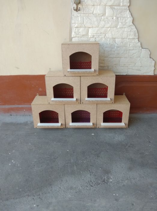 Zamonaviy uychlar kaptar va yapon tovuqlar uchun