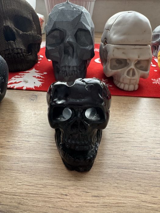 Коллекция черепов