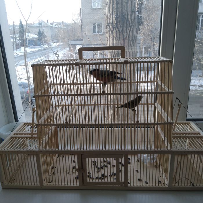 Продам клетку для птиц