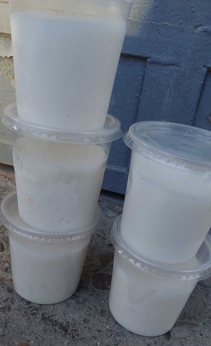 Прясна домашна свинска мас без сол