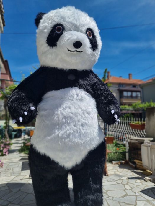 Бяло Мече за парти изненади