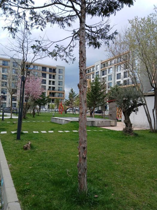 INTABULAT!Studiu Nou-Onix Blue ,Mamaia Nord complet mobilat si utilat