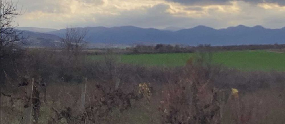 Парцел 2320 м2 - отличен за лозе/градина/пчелин, до път Дебър–Брягово