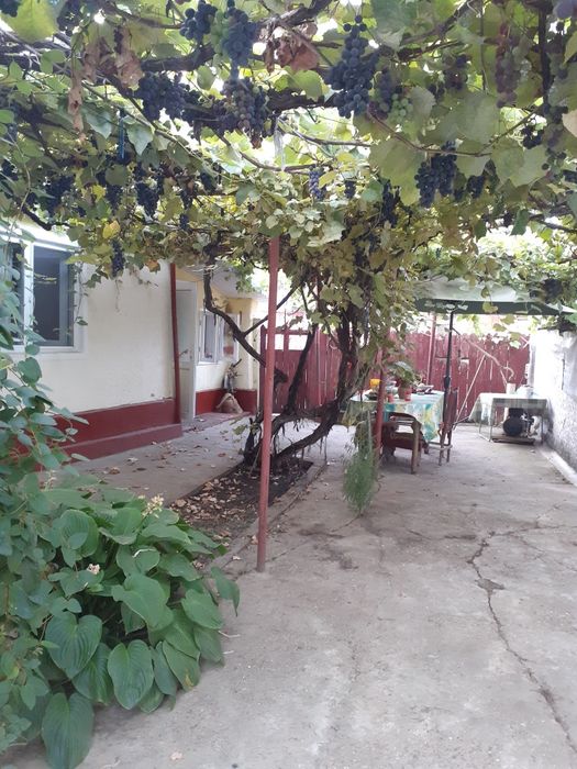 Casa Ciuslea Vrancea