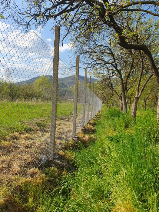 Imprejmuit teren, cosit, amenajari