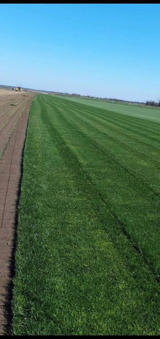 Gazon rulou și sistem de irigatii