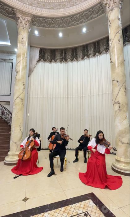 Оркестр, квартет, скрипка музыкальное сопровождение!