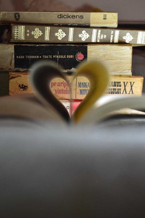 meditatii-Limba si literatura romana(clasele primare, gimnaziu, liceu)