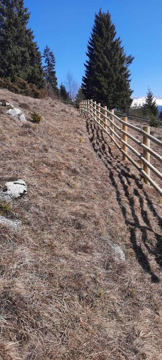 Gard robust din lemn tratat