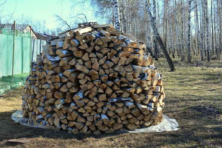 Дрова (отин) сотиладе