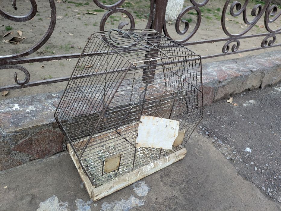 Клетка для птиц срочно