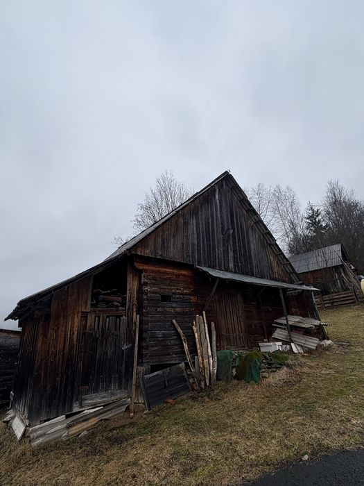 Poiată de vânzare Horea jud. ALBA