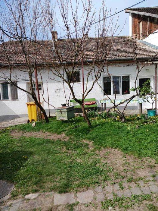 Tarnaveni - Gospodarie de vanzare