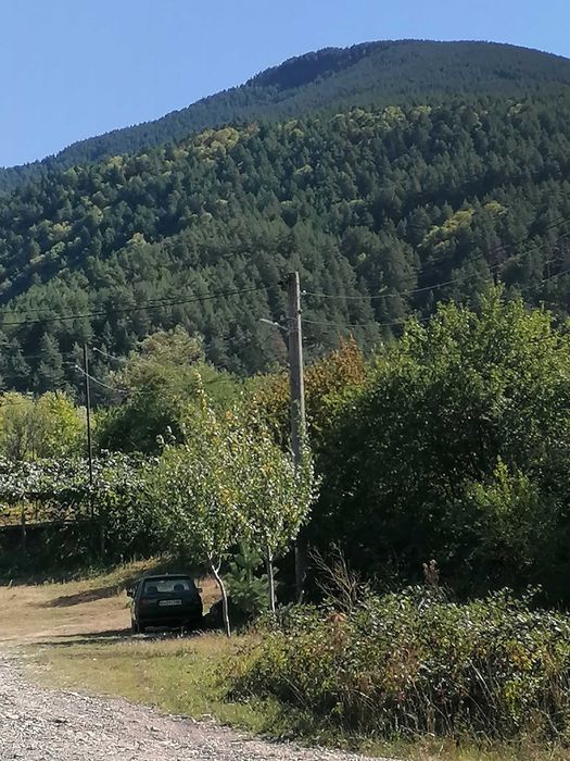 Продава се Парцел в Сапарева баня - 536 кв.м за 66 €/кв.м - Снимка #4