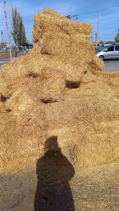 Сено, Салома, Клевер.