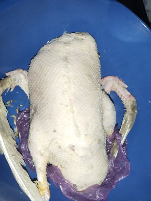 Мясо гуся, индоутки