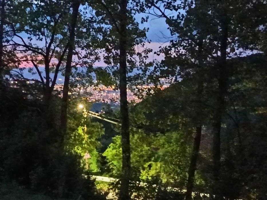 Продава се Парцел в с. Бистрица, Област София-град - 1240 кв.м за 238 €/кв.м - Снимка #2