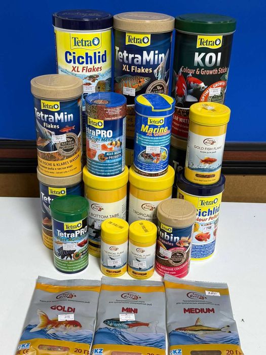 Аквариумистика в ЗООМИРЕ