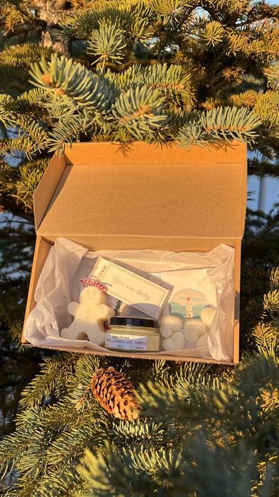 подарок на Новый год