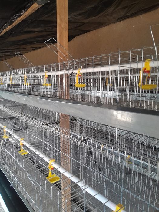 Клетки для кур нисушки продам.