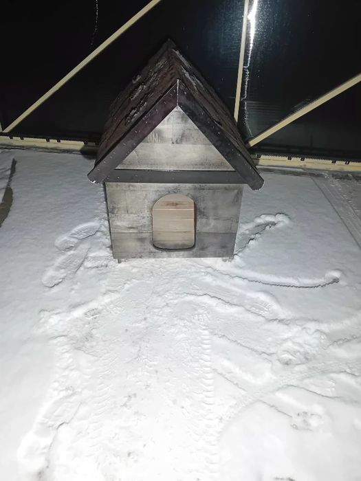 Cușcă pentru câine