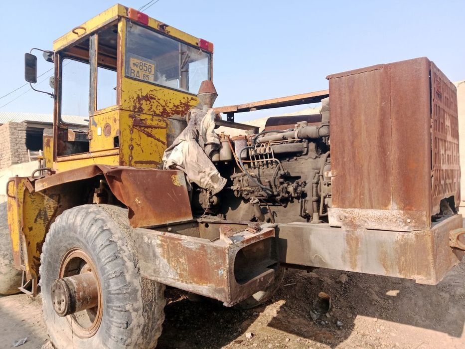 Paguruschik Palak Delta