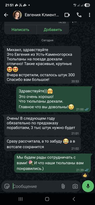 Тюльпаны в наличии Алматы.