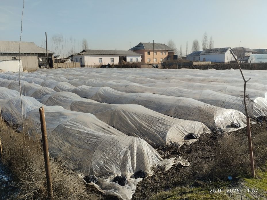 13 000 $. Uchastka sotiladi!