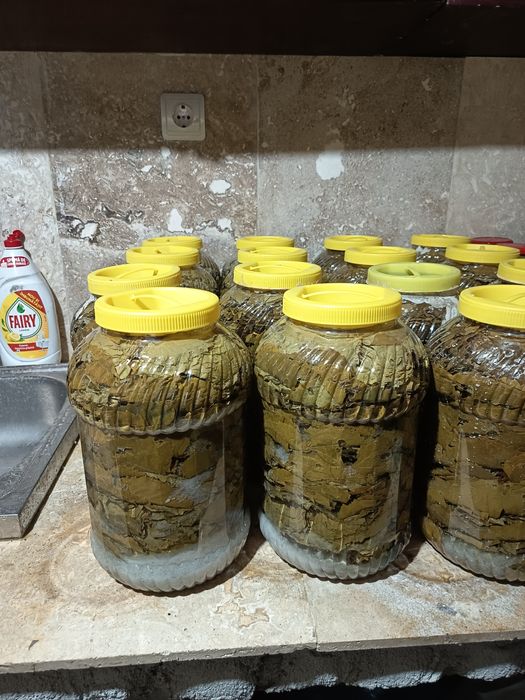 Frunza de vită la saeamura