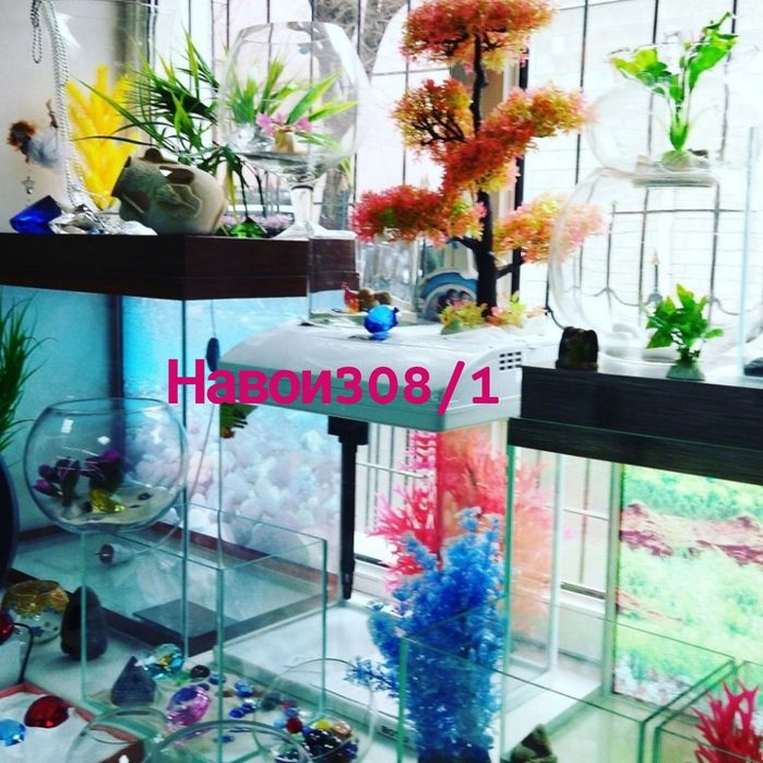 Аквариум круглый в Афалине.навои торайгырова