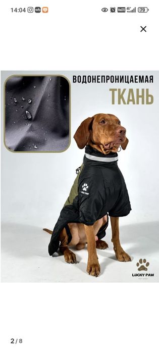 Зимний комбинезон для собак