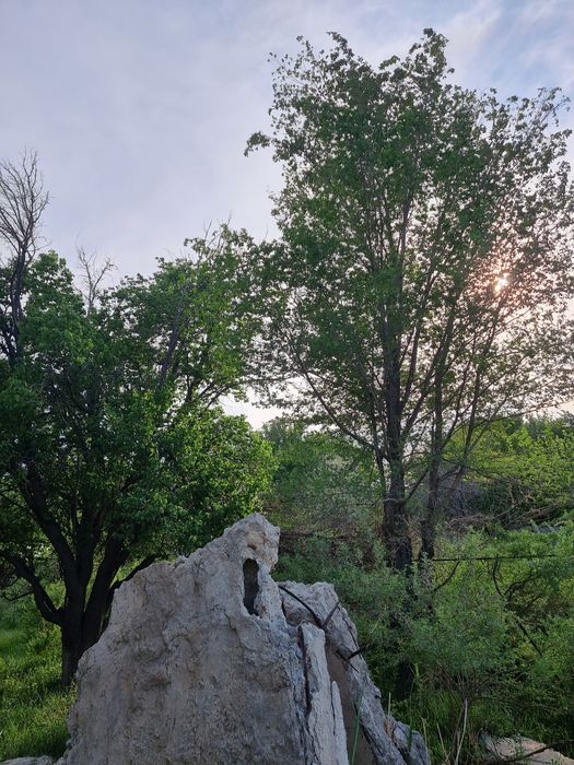 Продажа дачи Эдельвейс