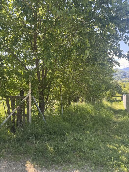 Teren de vanzare Str Plopusor,Alexandru Cel Bun