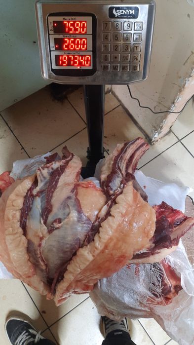 Согым конина молодняк