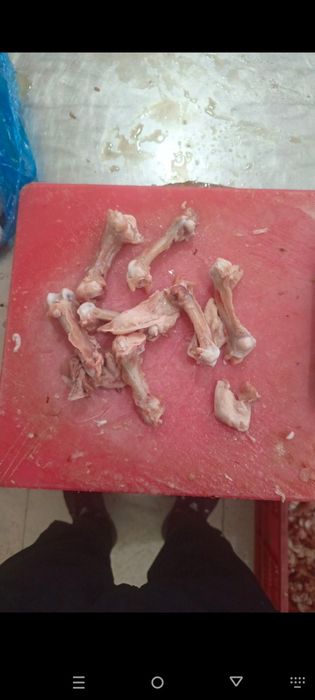 Yogʻ atxot jigar tovuq suyak toza maxsulotlari xamasi