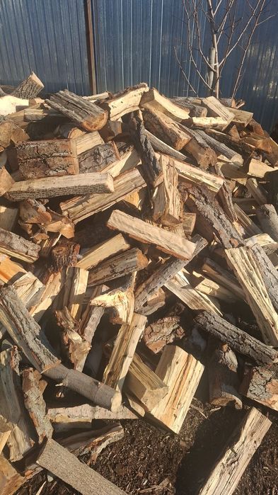 Дрова карагач продаю