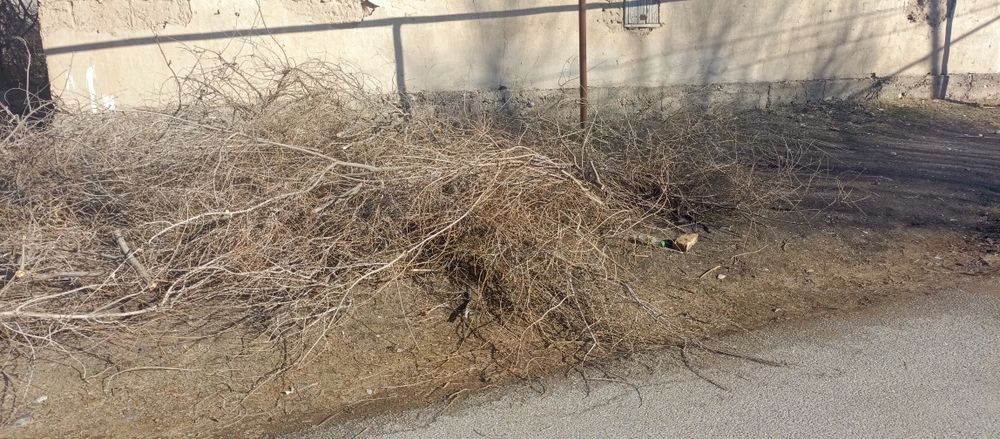 Ағаш пұтақтар тегін