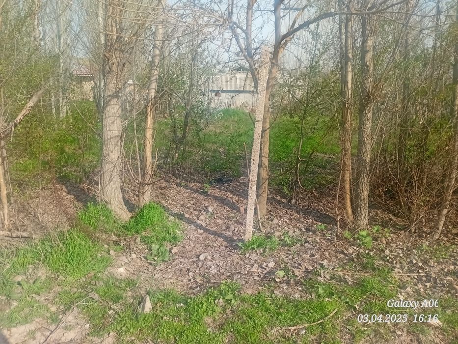 Ташкент вилояти Паркент туман Бустон кфй Ачиксой мой