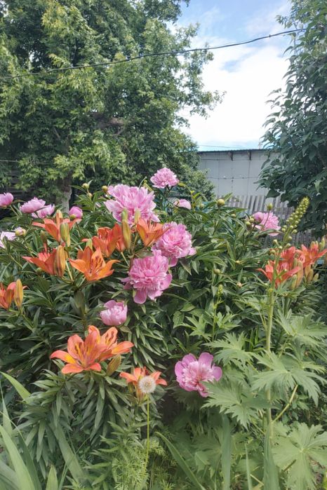 Продается частный дом