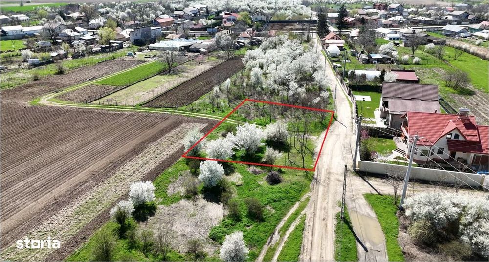 Tartasesti, lot 801 mp!