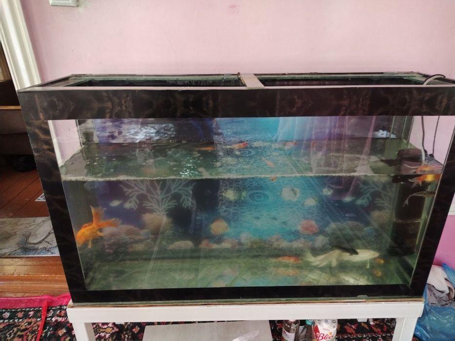 Аквариум сотилади