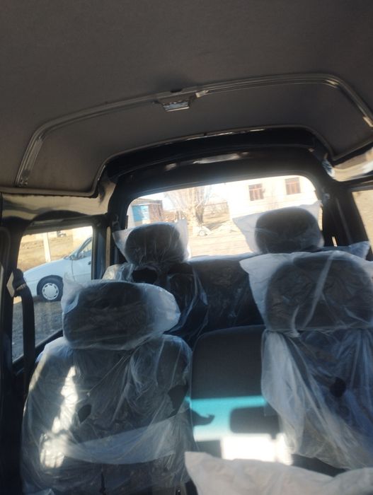 Дамас 2024, ранги kinde blue