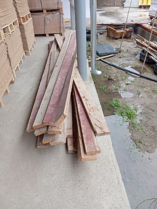 Кругляк и Паловой