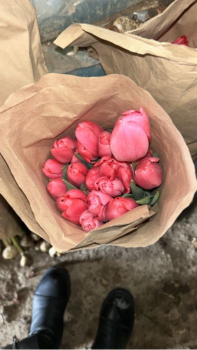 Тюлтпаны на 8 марта