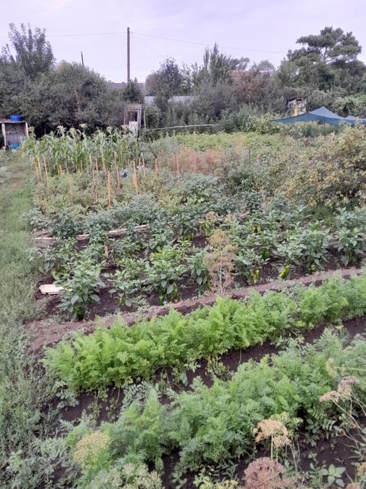 Продам дачу в обществе Парус